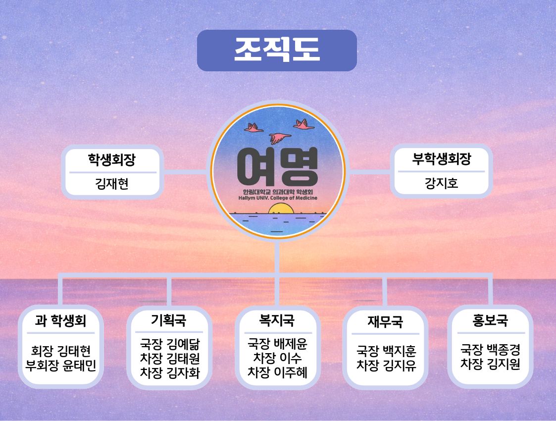조직도